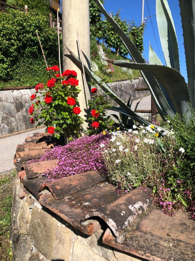 Casa Vacanze Lillo Villa Vezzano Ligure Esterno foto