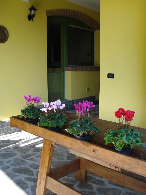 Casa Vacanze Lillo Villa Vezzano Ligure Esterno foto